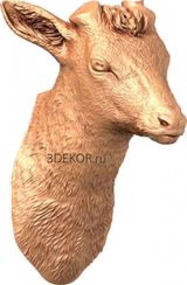 STK_0064