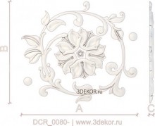 DCR_0080
