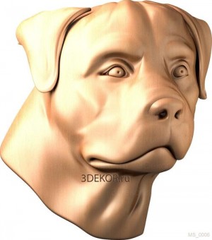 Голова собаки